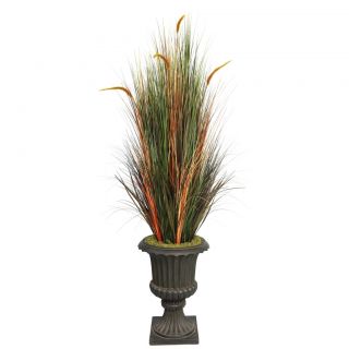Laura Ashley 74 Tall Onion Grass With Cattails In 16 Fiberstone Planter