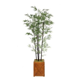 Laura Ashley 81 inch Tall Black Bamboo Tree In 13 inch Fiberstone Planter