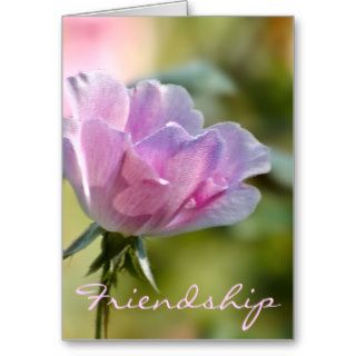 Pink Rose Friendship Card
