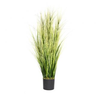 Laura Ashley 60 inch Onion Grass With Twigs????