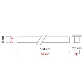 Zaneen Lighting Toy 2 Light Flush Mount D8 2181 / D8 2182 Color Frosted Whit