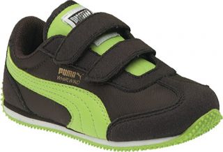 PUMA Whirlwind V