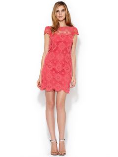 Hayley Cap Sleeve Lace Dress by Ali Ro