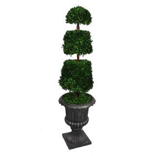 Laura Ashley 58 Tall Preserved Natural Spiral Boxwood Cone Topiary In 16 Fiberstone Planter