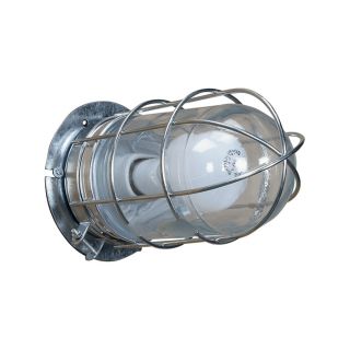 Canarm Ceiling/Wall Barn Light with Cage — 120V, Model# BL04CWG  Hanging   Fixture Lights