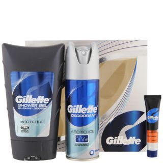 Gillette Arctic Ice Kit (3 Products)      Health & Beauty