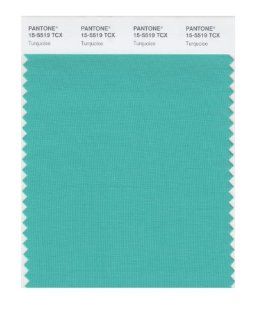 PANTONE SMART 15 5519X Color Swatch Card, Turquoise   Wall Decor Stickers  