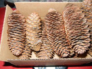 1 Pound Bag Assorted Real Natural Pine Cones