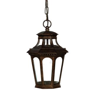 Newcastle Collection Hanging Lantern 1 light Outdoor Black Coral Light Fixture