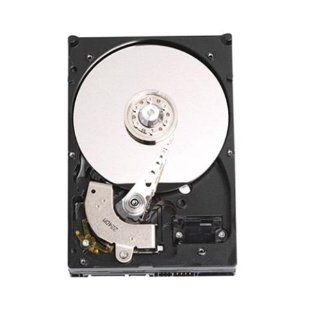 Western Digital 80 GB SATA internal hard drive with cool and quiet operation Electronics