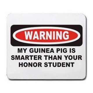 MY GUINEA PIG IS SMARTER THAN YOUR HONOR STUDENT Mousepad  Mouse Pads 