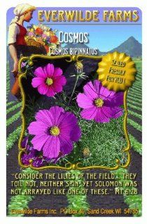Everwilde Farms   1 Lb Sensation Tall Mixed Cosmos Wildflower Seeds   Bulk Seed Packet  Flowering Plants  Patio, Lawn & Garden
