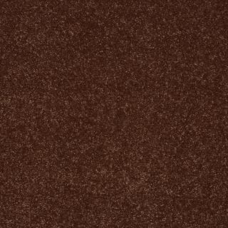 Shaw 7L52300600 Orange Textured Indoor Carpet