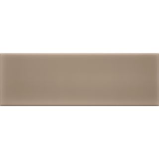 allen + roth 9 Pack Chocolate Ceramic Wall Tiles (Common 4 in x 12 in; Actual 3.94 in x 11.69 in)