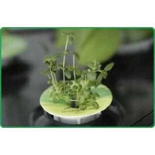 Miracle Gro AeroGarden ULTRA Indoor Garden with Gourmet Herb Seed Pod Kit Plus Bonus Seed Starter System  Patio, Lawn & Garden