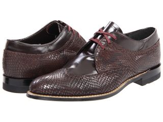 Stacy Adams Dayton Mens Lace Up Wing Tip Shoes (Brown)