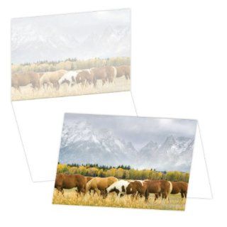 ECOeverywhere Mountain Storm Boxed Card Set, 12 Cards and Envelopes, 4 x 6 Inches, Multicolored (bc11788)  Blank Postcards 