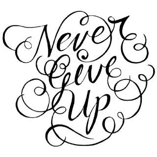 Never Give Up wall saying vinyl lettering home decor decal stickers quotes  