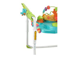 Fisher Price First Steps Jumperoo Multi