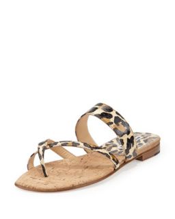 Susa Leopard Print Snake Flat Thong Sandal, Brown/Black   Manolo Blahnik  