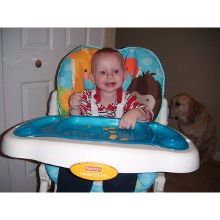 Fisher Price Precious Planet Sky Blue High Chair  Baby