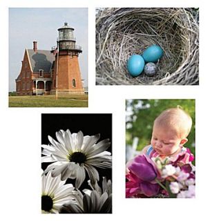 S&S 17 X 11 Thera Jigsaw Foam Puzzles Set A, Baby/Lighthouse/Robins Nest/Daisies