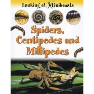 Spiders, Centipedes and Millipedes (Looking at Minibeasts) Sally Morgan 9781841381688 Books