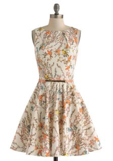 Luck Be a Lady Dress in Bird Song  Mod Retro Vintage Dresses
