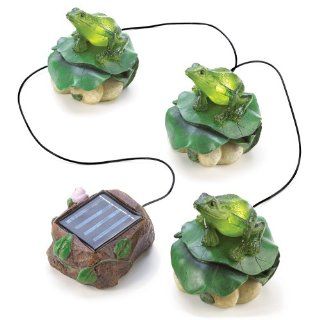 Gifts & Decor Solar Frog Trio Garden Path Lighting (Discontinued by Manufacturer)  Patio Decor Solar  Patio, Lawn & Garden
