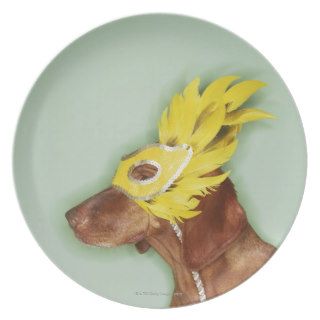 Dog wearing mask plates