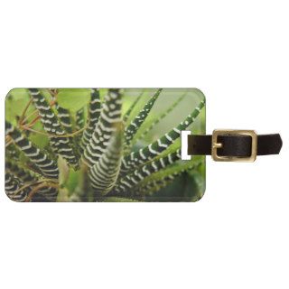 Green Spiky little striped cactus Tags For Bags