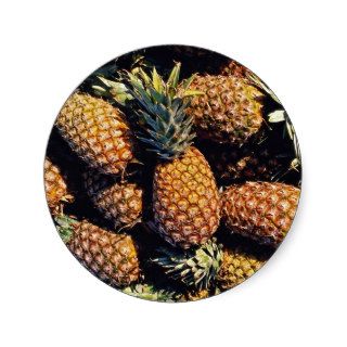 Pineapples, Tulum, Mexico Stickers