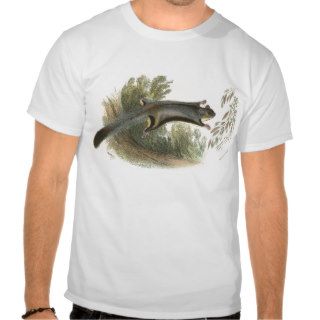 Lydekker   Lesser Flying Phalanger/Possum T Shirts