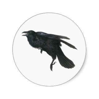Crow ~ Vintage Crow Black Bird Art Stickers