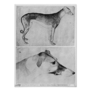 Greyhound and head of a greyhound print