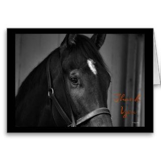 Thank You caring appreciation horse thanks Greeting Cards