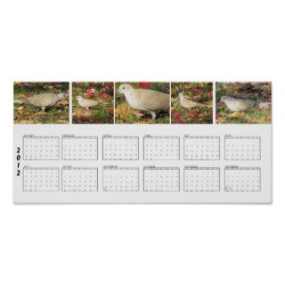 Autumn Dove 2012 Calendar Print