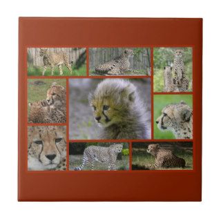 Cheetah Collage 002 Tile