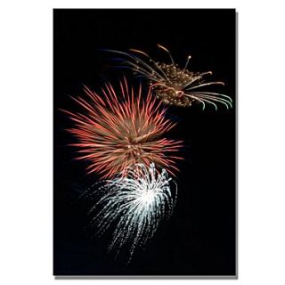 Trademark Fine Art Abstract Fireworks 36 30 x 47 Canvas Art  Make More Happen at