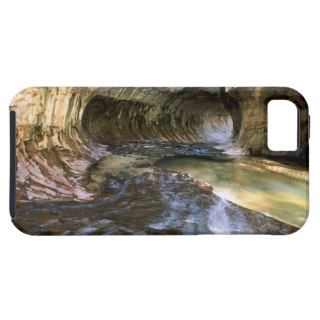 Zion Canyon National Park, Oregon, USA iPhone 5 Case