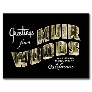Greetings Muir Woods National Monument Postcard