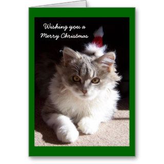 Meowy Christmas Purrfect New Year Tabby Cat Card