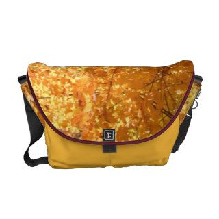 Autumn Colors at Maple Heights in Lakewood, WI Messenger Bag