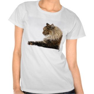 Maine Coon Cat 9Y825D 103 T Shirts