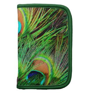 Awesome Peacock Colorful Feather Design Organizer