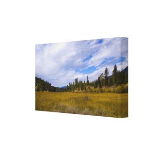 Heart Bar Meadow in Fall 2 Gallery Wrapped Canvas