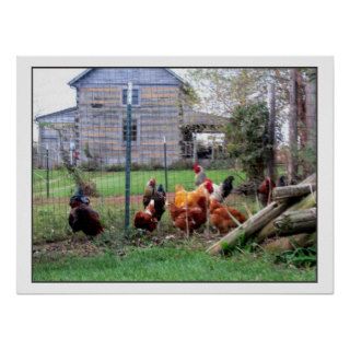 Rooster Farm Print