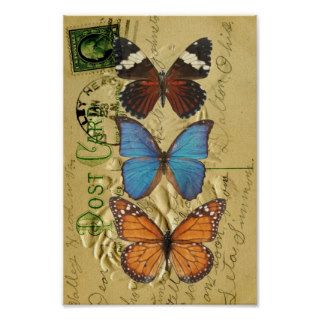Butterfly collection poster