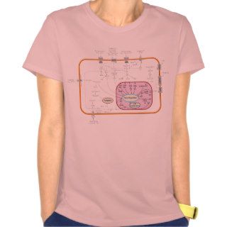 Cell Signal Transduction Pathways Diagram T shirt