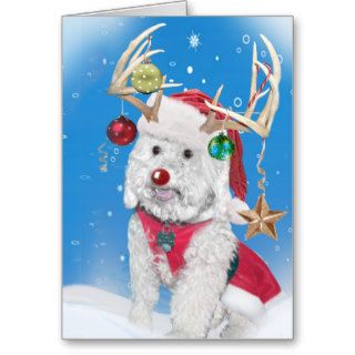 Cockapoo Reindeer Cards